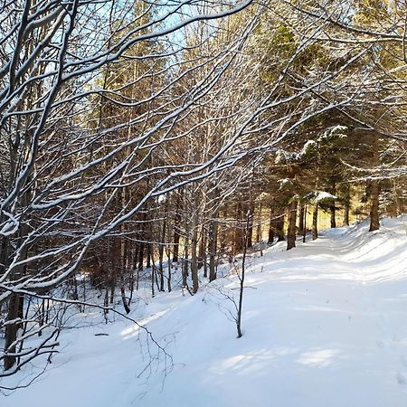 Ubytovani Na Namesti Nove Mesto pod Smrkem Luaran gambar